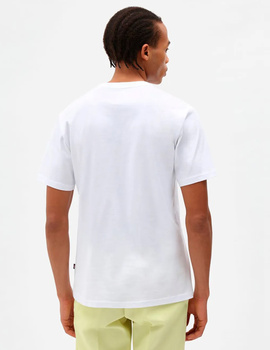 camiseta hombre dickies  MAPLETON blanco