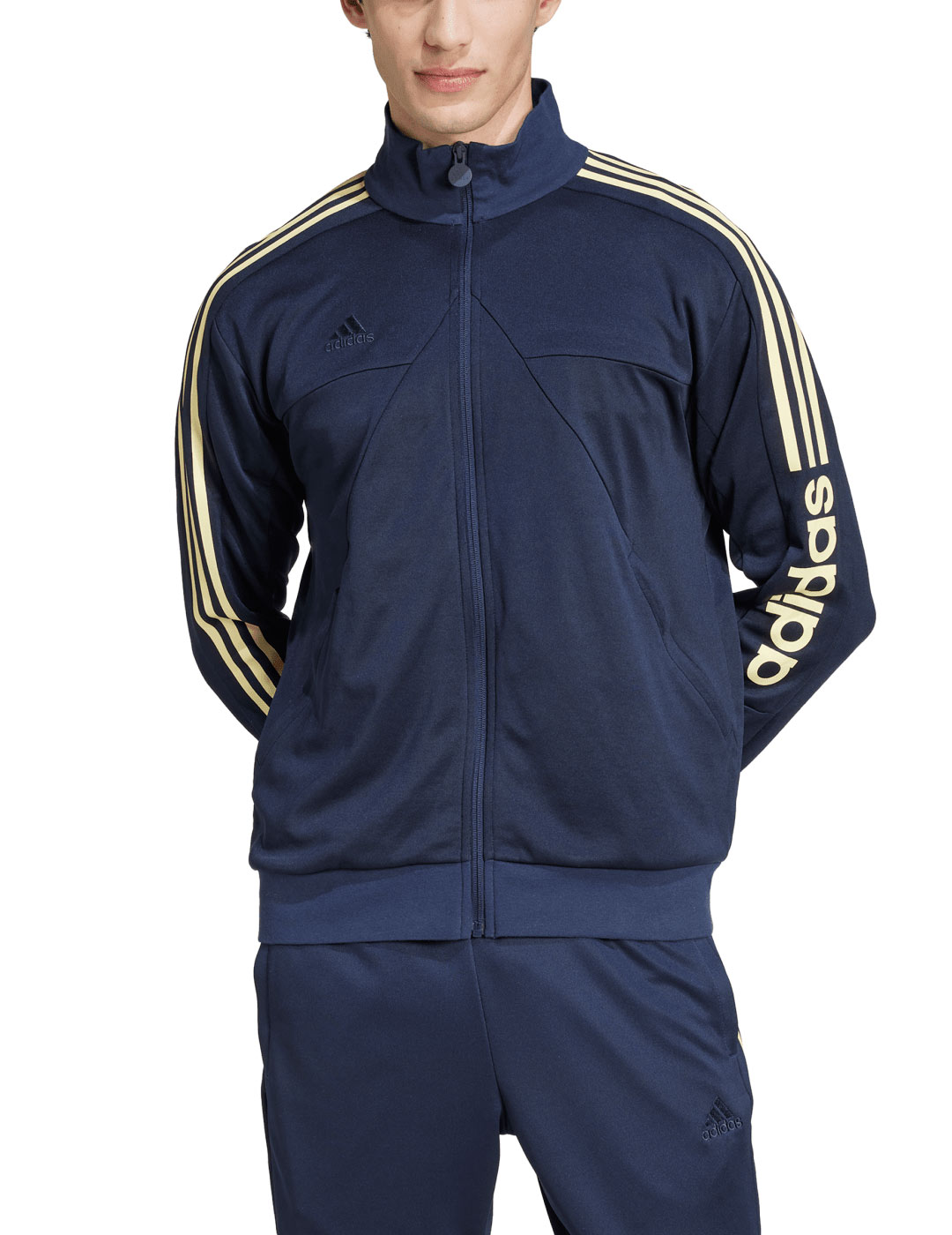 chaqueta adidas hombre  TIRO WM TT, mar/vainilla