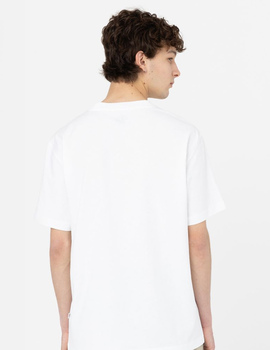 camiseta hombre dickies manga corta SUMMERDALE, blanco