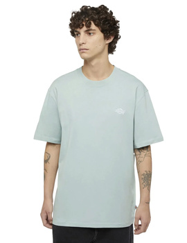 camiseta hombre manga corta dickies SUMMERDALE  azul