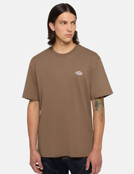 camiseta hombre manga corta dickies SUMMERDALE , marrón