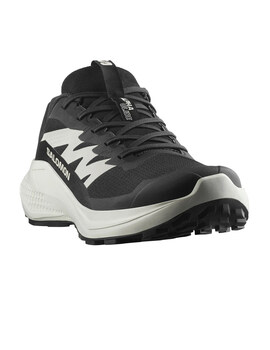 zapatilla hombre trail running salomon ALPHAGLIDE, negro/gris