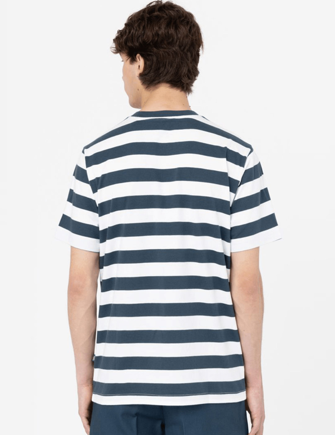 camiseta manga corta hombre dickies RIVERGROVE SS, azul