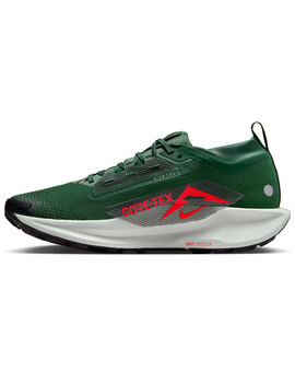 zapatilla running hombre nike  PEGASUS TRAIL 5 GORE-TEX, verde