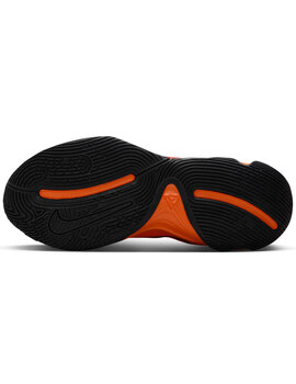 zapatilla de baloncesto nike GIANNIS IMMORTALITY 4, basket, naranja