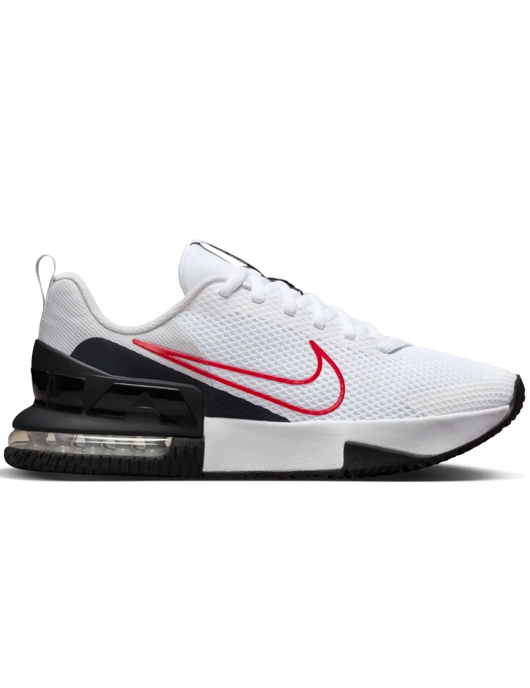 1767030695011 sin t%c3%adtulo 5