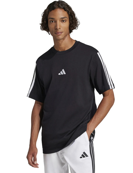 Gallery 1772641446586 sin t%c3%adtulo 5