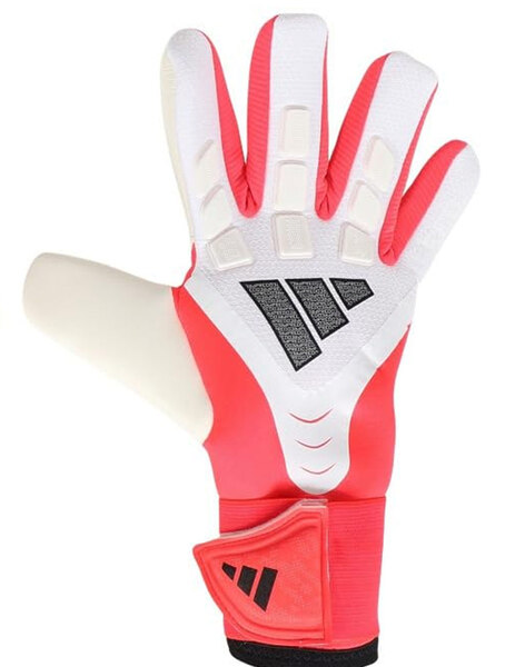 Gallery 1775829043986 sin t%c3%adtulo 10