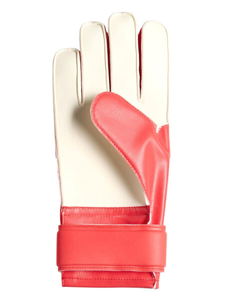 Gallery 1775831154152 sin t%c3%adtulo 16