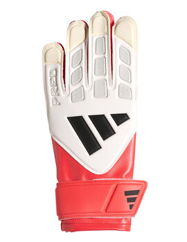 Thumb 1775831154147 sin t%c3%adtulo 15